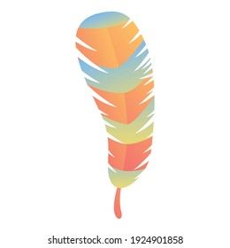 African feather icon. Cartoon of african feather vector icon for web design isolated on white background