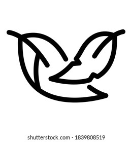 Icono de pluma africana. Esquema del icono del vector de plumas africanas para el diseño web aislado en fondo blanco
