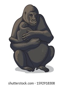 African female gorilla with baby-gorilla sitting isolated in cartoon style. Educational zoology illustration, coloring book picture.