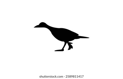 African finfoot bird Silhouette Design  And Vector Illustration. 