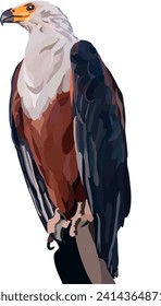 The African fish eagle is a large species of eagle found throughout sub-Saharan Africa wherever large bodies of water occur. It is the national bird of Malawi, Namibia, Zambia, and Zimbabwe.