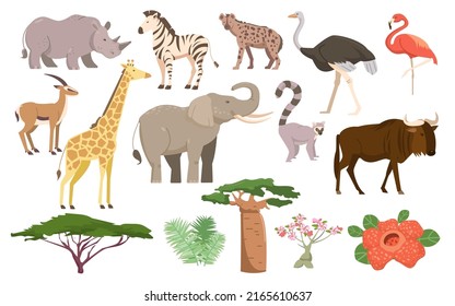 African Flora And Fauna. African Animals, Plants, Birds And Trees Isolated On White Background. Savanna Mammals And Vegetation. Baobab, Acacia, Elephant, Giraffe, Rhino. Vector Illustration