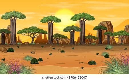 African forest landscape at sunset time illustration