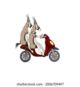 African gazelles on a motorbike or scooter on white isolated background, vector Antelopes driving a motorcycle in Cartoon style for prints, patterns, stickers, icons, elements of design for websites