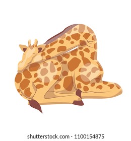 The African giraffe is asleep. Vector illustration. Animals of Africa.