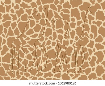 African giraffe background