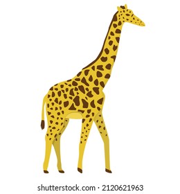 African giraffe in flat style isolated on white background
