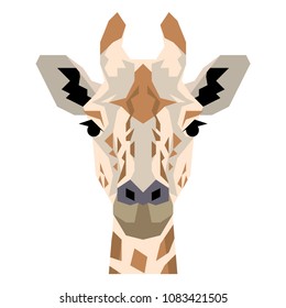 African giraffe head, vector illustration on white background