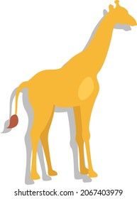 African giraffe, illustration, vector, on a white background.