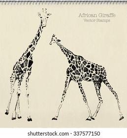 African Giraffe ink stamp vector on textured sketchbook paper. Artistic transparent black sketch.