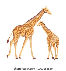 African giraffe mother and her baby. Mammals and care for the offspring. Vector illustration. Animals of Africa.