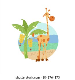 African giraffe near banana trees. Vector illustration. The African flora and fauna. Isolated on white background.