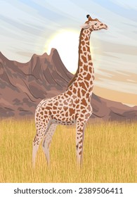 African giraffe stand in the dry grass in the savannah at the foot of the mountains. Wild animals of Africa. Realistic vector vertical landscape