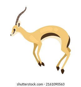 African goitered antelope cartoon illustration. Impala with long horns running, jumping and butting on white background. Animal, wildlife
