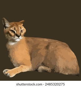 African Golden Cat (Caracal aura)