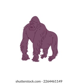 African gorilla ape standing flat cartoon vector illustration isolated on white background. Gorilla animal largest primate monkey of African fauna.