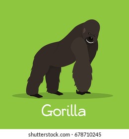 African gorilla illustration design on green background.vector