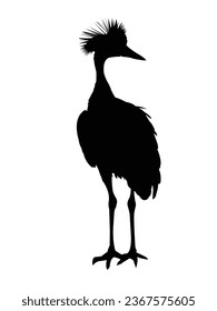 African Grey Crowned Crane Silhouette: Grace in Shadows