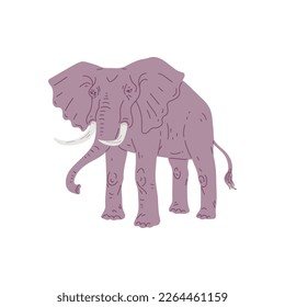 African grey elephant walking flat vector illustration isolated on white background. Elephant animal of savanna regions native to Africa and southern Asia.
