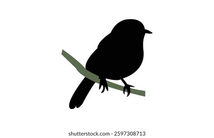 African grey flycatcher bird Silhouette Design  And Vector Illustration. 