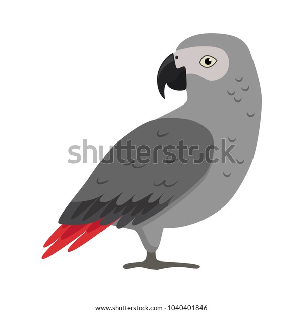 African Grey Jaco Parrot Flat Stock-vektor (royaltyfri)