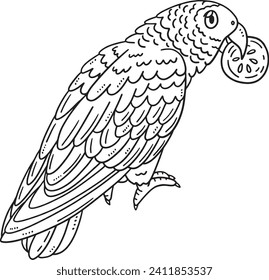 African Grey Parrot Bird Isolated Coloring Page