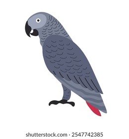 Icono de loro gris africano Clipart avatar logotipo aislado ilustración