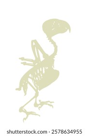 African Grey Parrot skeleton vector silhouette illustration isolated on white background. Shape shadow Chicken bird body anatomy symbol.