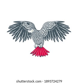 logotipo del vector del loro gris africano