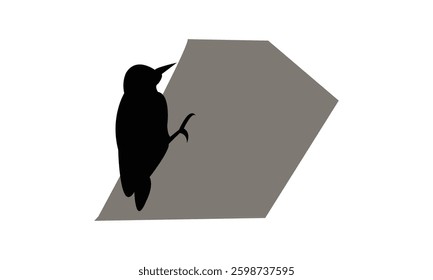 African grey woodpecker bird Silhouette Design  And Vector Illustration. 
