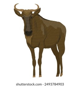 In: African herbivore Wildebeest gnu. Realistische Vektorgrafik Tiere