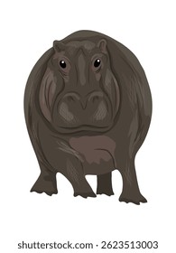 Vista frontal do hipopótamo africano. Animal vetorial realista