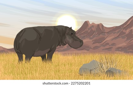African Hippopotamus walks on dry grass at the foot of a mountain range. Wildlife of African savannah and bush. Realistic vector landscape