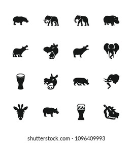 African icon. collection of 16 african filled icons such as hippopotamus, elephant, drum. editable african icons for web and mobile.