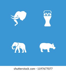 African icon. collection of 4 african filled icons such as elephant, hippopotamus. editable african icons for web and mobile.