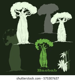 African iconic. Baobab tree with silhouette. Vector hand drawing ink illustration. vector set of three hand drawing  baobabs on green background. Vector silhouette of baobab. Symbol of Madagascar.