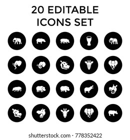 African icons. set of 20 editable filled african icons such as giraffe, hippopotamus, elephant. best quality african elements in trendy style.