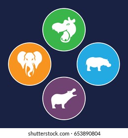 African icons set. set of 4 african filled icons such as hippopotamus