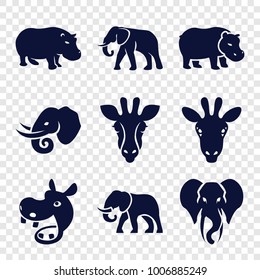 African icons. set of 9 editable filled african icons such as giraffe, elephant