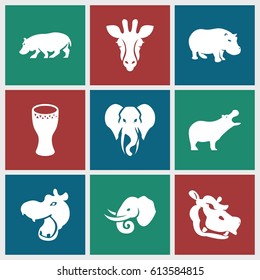 African icons set. set of 9 african filled icons such as giraffe, hippopotamus, elephant
