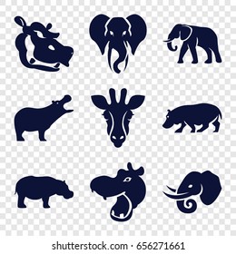 African icons set. set of 9 african filled icons such as giraffe, hippopotamus