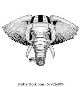 African or indian Elephant Wild animal wearing rugby helmet Sport illustration