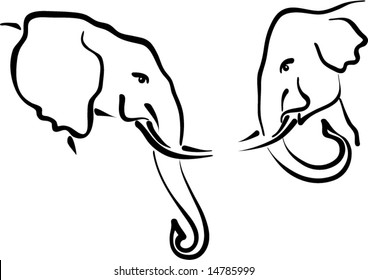 african & indian elephants