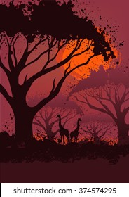 African  landscape