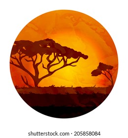 African landscape, acacia silhouette on sunset background