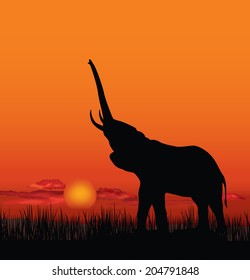 African landscape with animal silhouette. Savanna sunset background.
