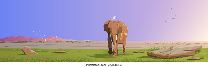 African landscape, elephant journey through the savannah with an egret on its back. Wildlife scene, panoramic view, mountain range, desert, savannah, flocks of birds. Art drawing, vector illustration.