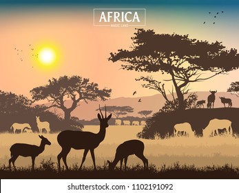 African landscape. Grass, trees, birds, animals silhouettes. Abstract nature background. Template for your design works. Vector illustration.