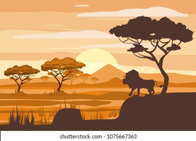 African landscape, lion, savannah, sunset, vector, illustration, cartoon style, isolated