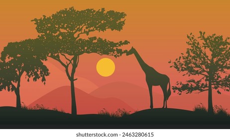 African landscape poster with acacia tree giraffe and sunset on background vector illustration